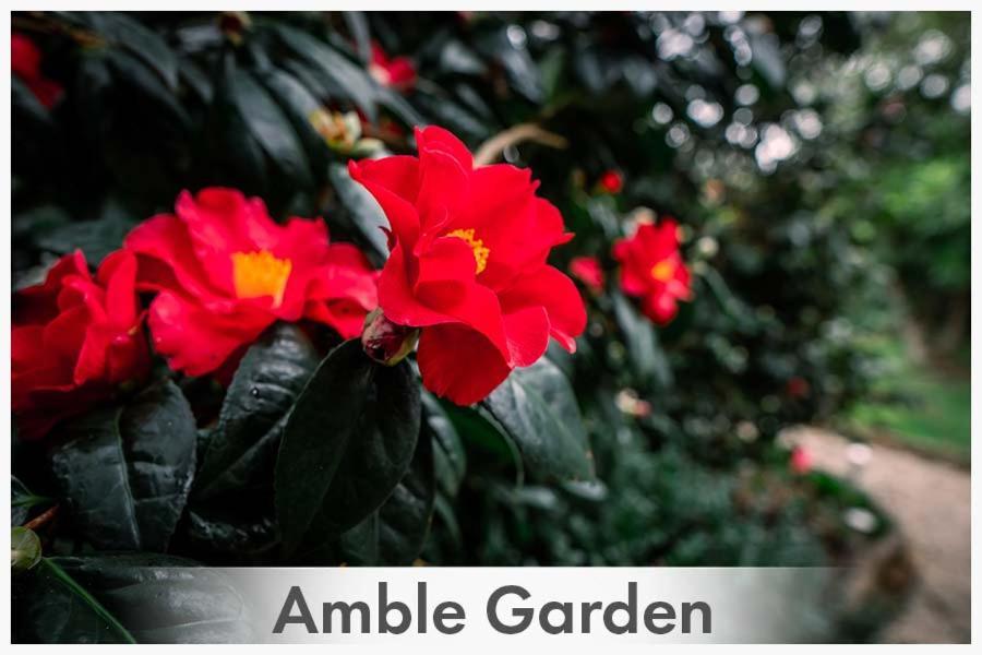 Amble At Hahndorf Bed & Breakfast Dış mekan fotoğraf