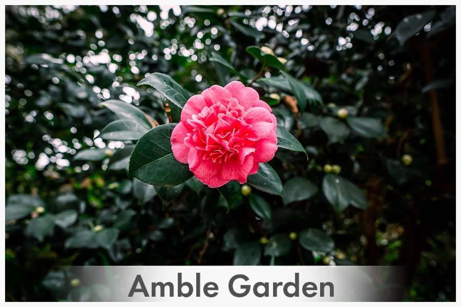 Amble At Hahndorf Bed & Breakfast Dış mekan fotoğraf