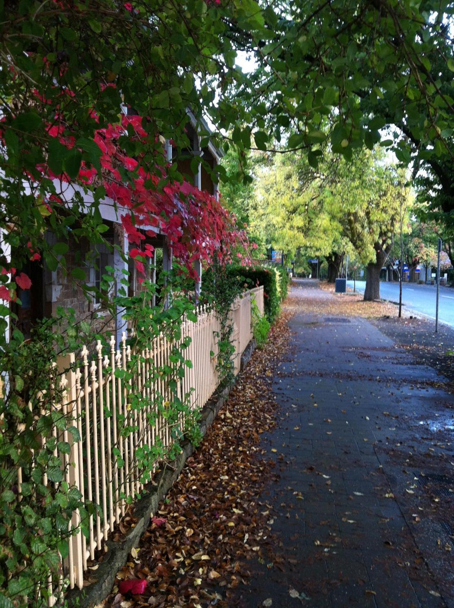 Amble At Hahndorf Bed & Breakfast Dış mekan fotoğraf