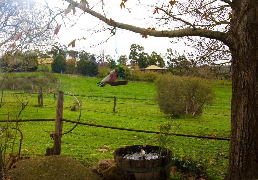 Amble At Hahndorf Bed & Breakfast Oda fotoğraf