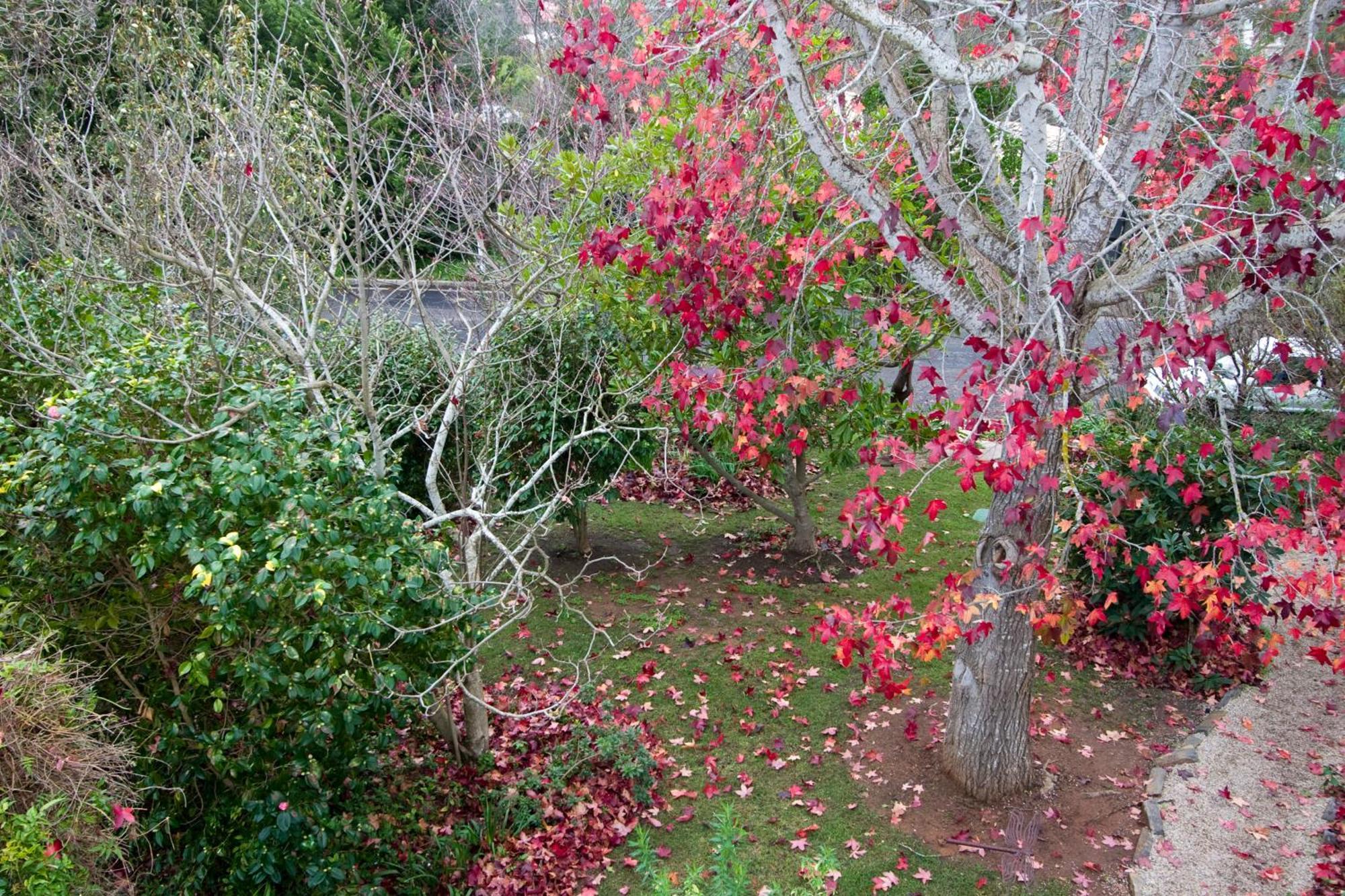 Amble At Hahndorf Bed & Breakfast Dış mekan fotoğraf