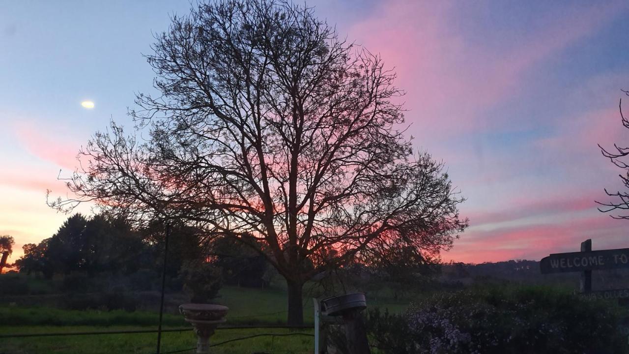 Amble At Hahndorf Bed & Breakfast Dış mekan fotoğraf