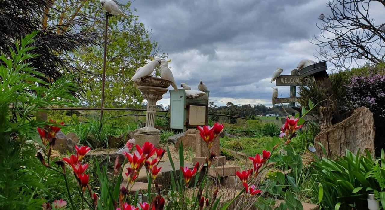 Amble At Hahndorf Bed & Breakfast Dış mekan fotoğraf